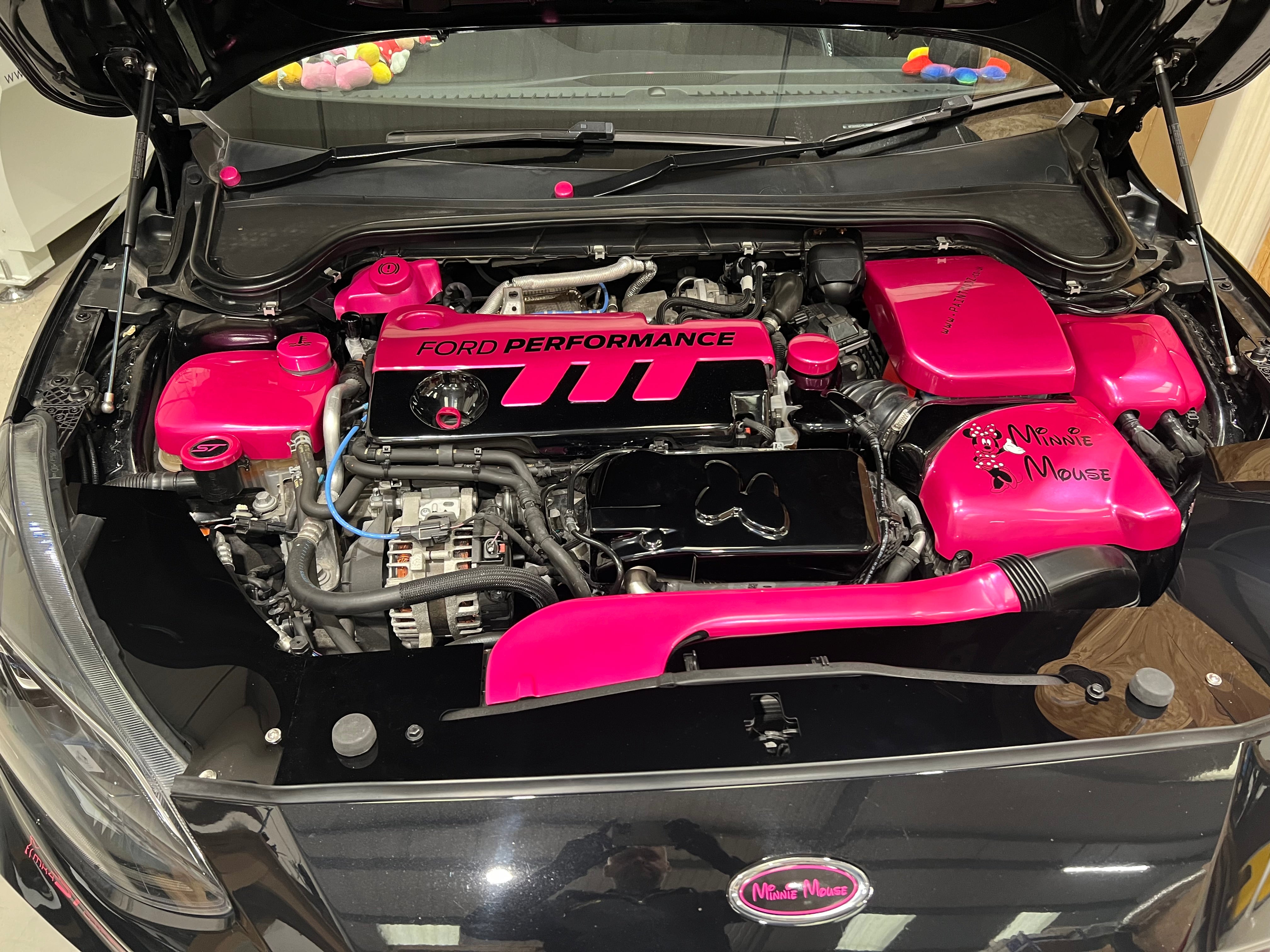 Proform Mk4 Focus Slam Panel Cover (Plastic Finishes)