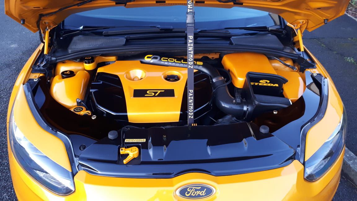 Proform Mk3 (Pre-Facelift) Focus ST Slam Panel Cover (Plastic Finishes)