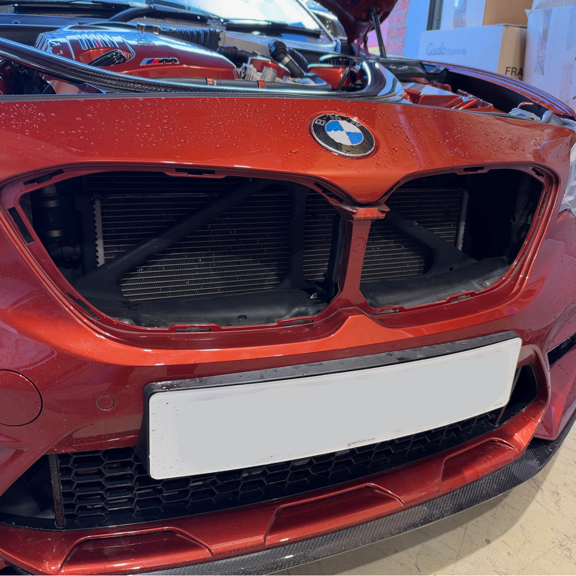 Proform Crash Bar Covers (Painted Finishes) - BMW M2 M3 M4