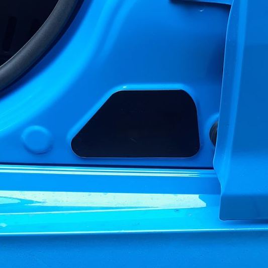 Proform Mk3/3.5 Focus Door Sill Plates