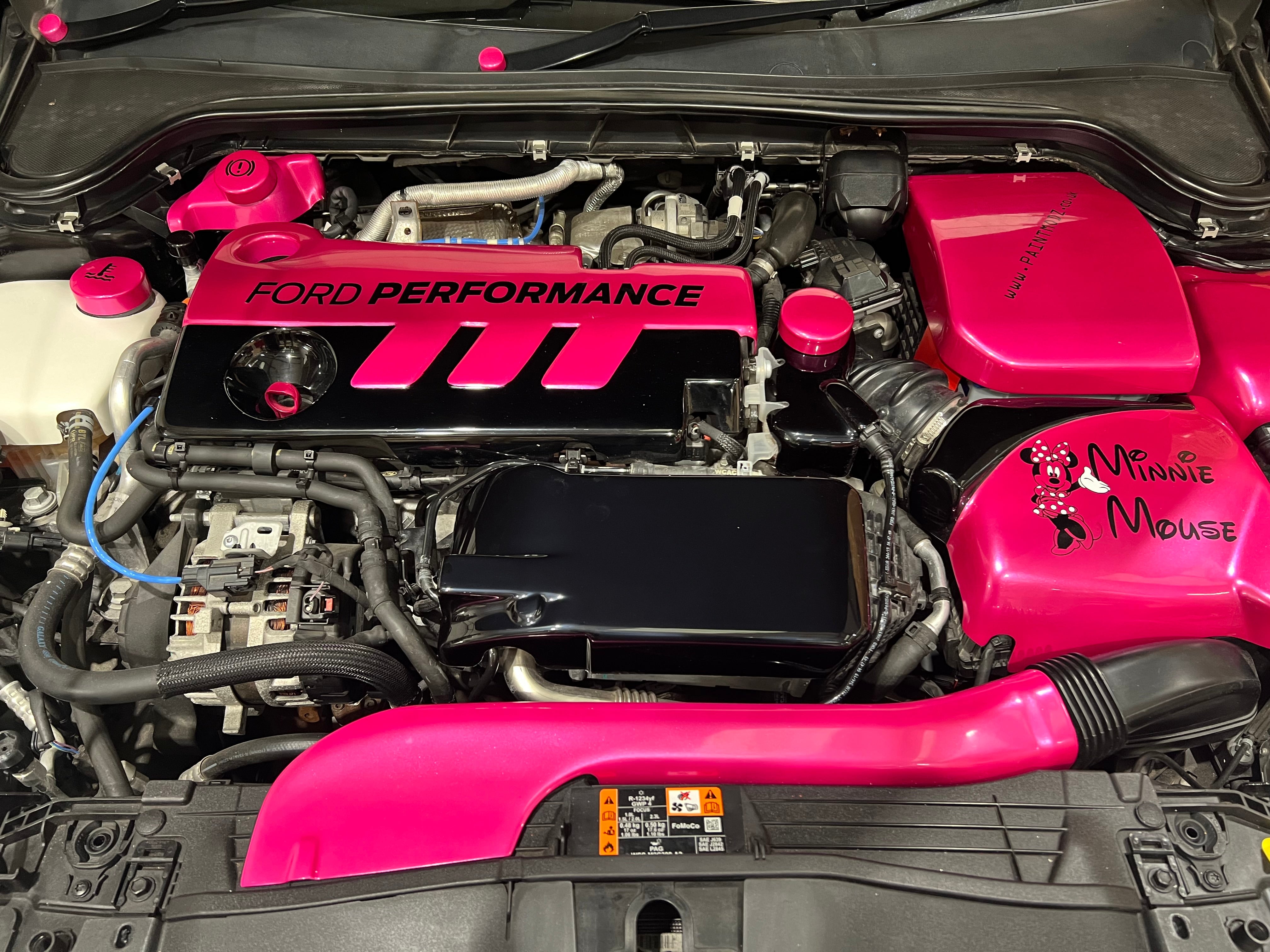 Proform Charge Cooler Cover - Mk4 Ford Focus ST Diesel (Plastic Finishes)