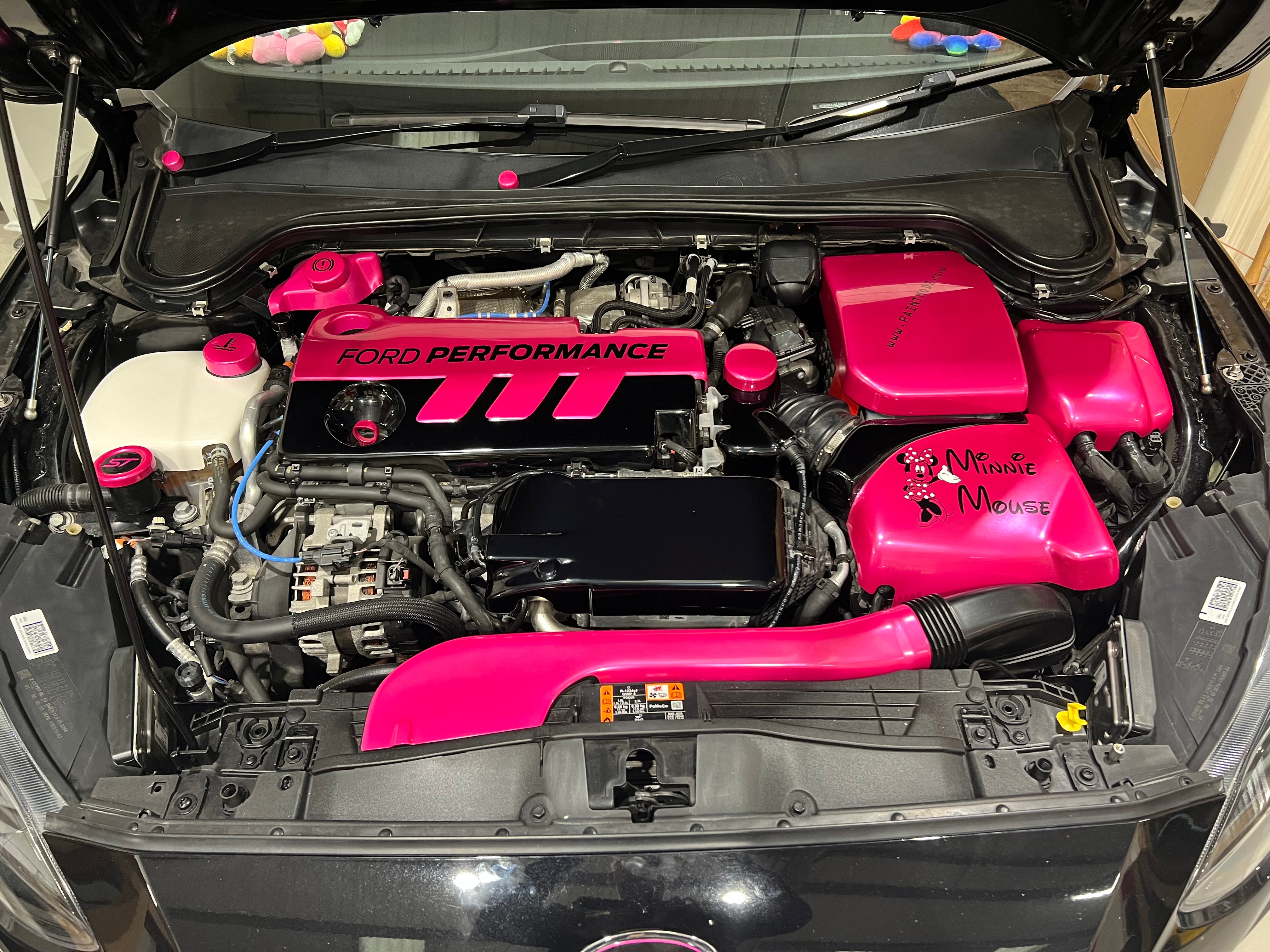 Proform Charge Cooler Cover - Mk4 Ford Focus ST Diesel (Plastic Finishes)