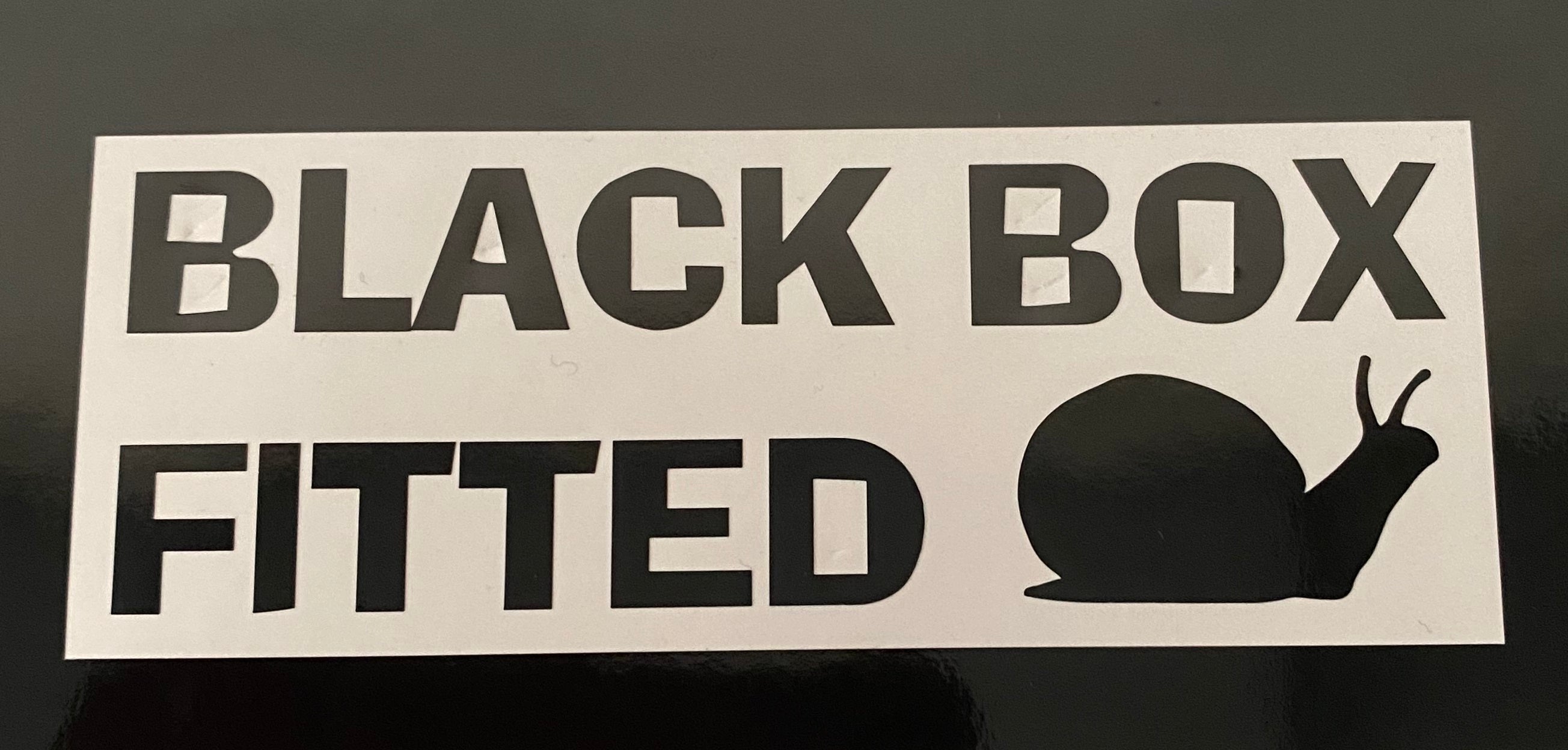 Black Box Fitted Vinyl Sticker