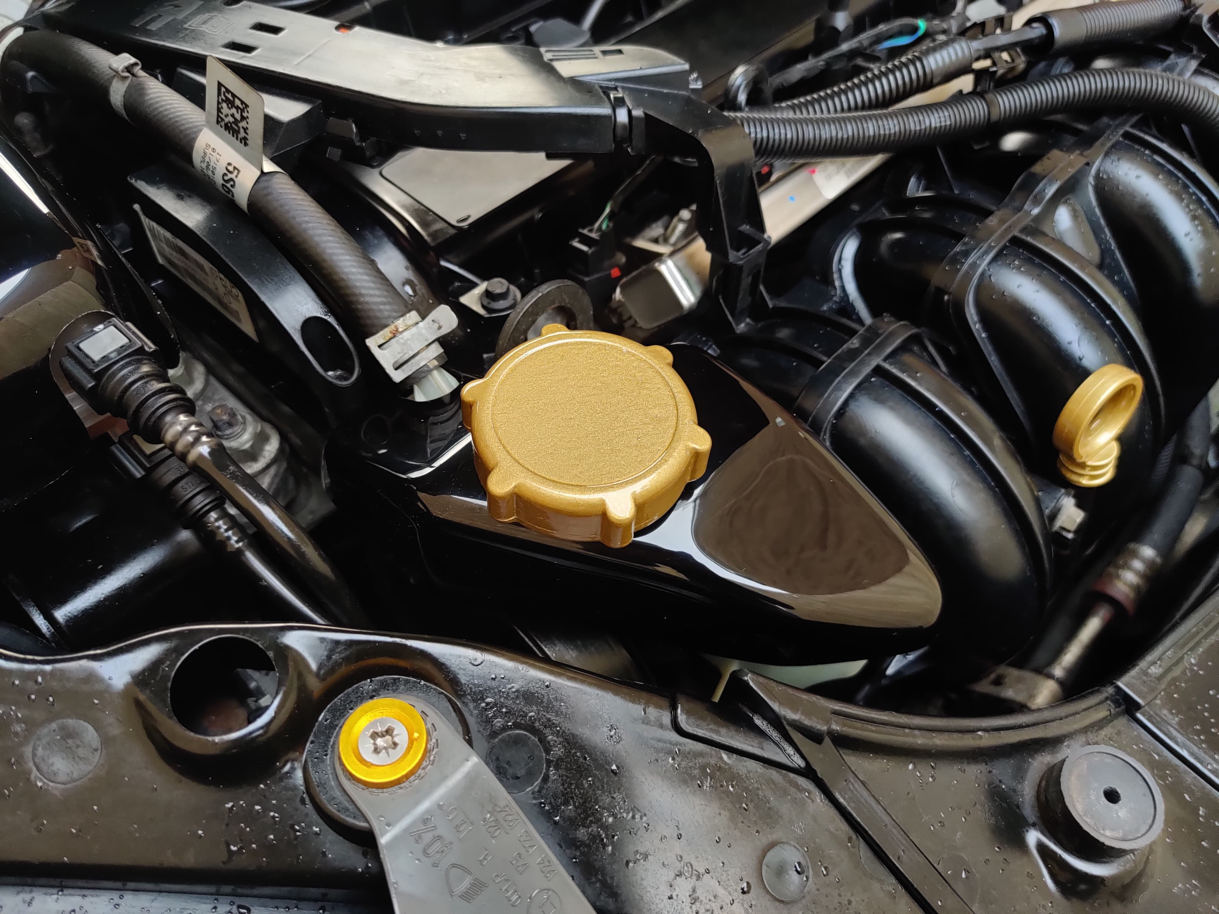Proform Power Steering Reservoir Cover - Mk6 Ford Fiesta ST150 - Gloss Black Plastic
